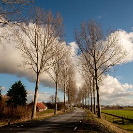 The dike to Nieuwe Tonge by Jaap Reedijk