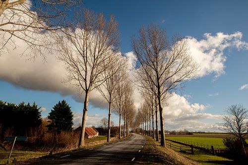 The dike to Nieuwe Tonge
