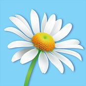 Atelier Hedy Marguerite profielfoto