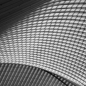 "Station Liège - Guillemins - Swallowed Up By Lines 1." van AvrieVision I Annemarie Vriends