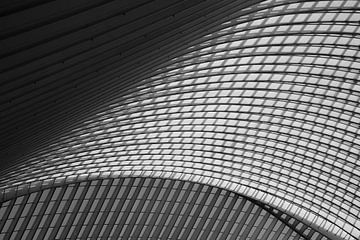 "Station Liège - Guillemins - Swallowed Up By Lines 1." van AvrieVision I Annemarie Vriends