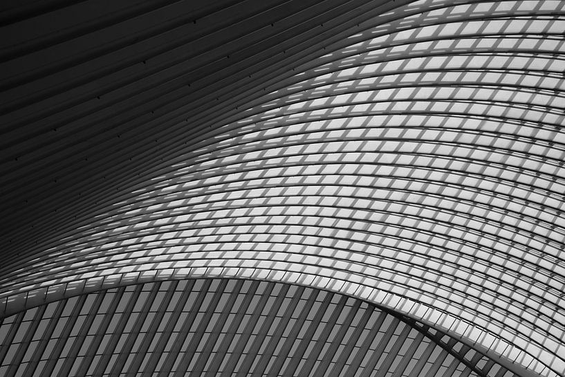 &quot;Station Liège - Guillemins - Swallowed Up By Lines 1.&quot; par AvrieVision I Annemarie Vriends