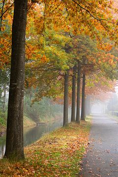 Ochtend mist met herfstkleuren van Lucas Planting