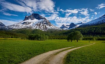 Vue de la vallée d'Innerdalen, Norvège sur qtx