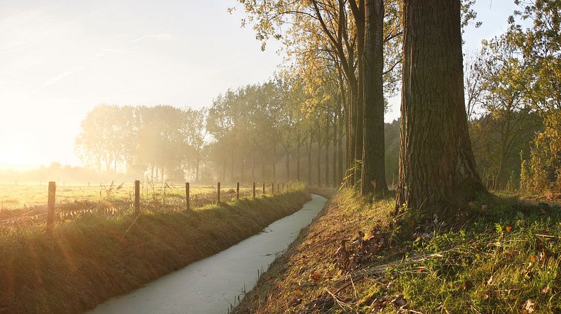 Nederlandse herfst ochtend van Mark Leeman