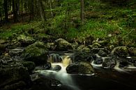 Vallée de la Hoëgne, Ardennen (België) van Carola Schellekens thumbnail