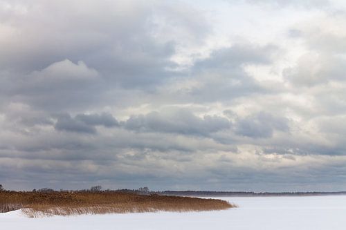 Der Bodden bei Dierhagen im Winter