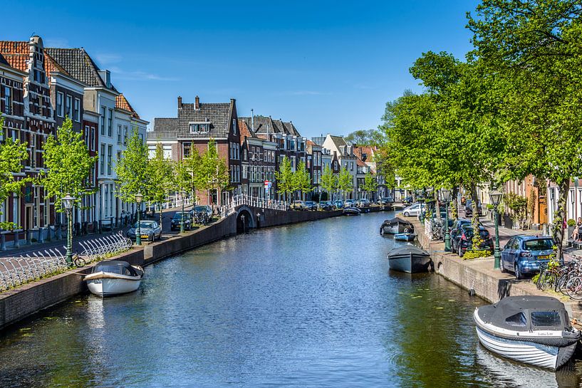 Rapenburg, Leiden by Patrick Herzberg