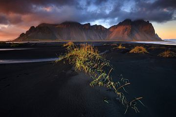 Stokksnes, IJsland van Sven Broeckx