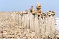 Steinmännchen auf Holzstämmen