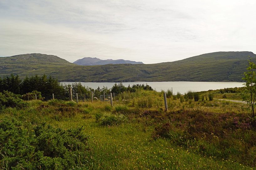 Scotland is full of beautiful landscapes everywhere you look. by Babetts Bildergalerie