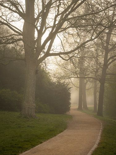 Noorderplantsoen Groningen, Mistig paadje in het Noorderplantsoen