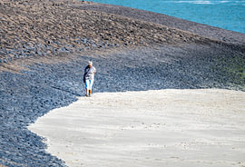 Allein am endlosen Meer von Werner Lerooy