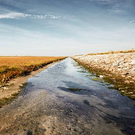 Ameland Das Wattenmeer von Martin Weijmer