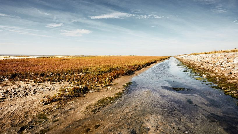Ameland Das Wattenmeer von Martin Weijmer