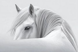 Mane Character by PixelMint.