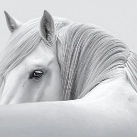 Hauptfigur von PixelMint.