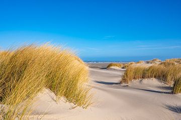 Strand op het eiland Schiermonnikoog in de Waddenzee van Sjoerd van der Wal