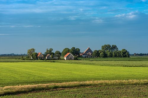 Landschap Friesland ten noorden van Workum in het avondlicht