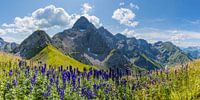 Trettachspitze
