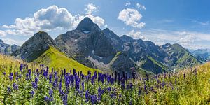 Trettachspitze