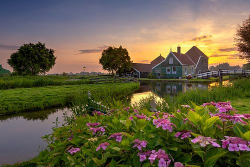 Zaanse Schans met kaasboerderij Catharinahoeve