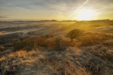 Sunrise in the dunes by Dirk van Egmond