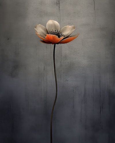Lonely and fragile flower