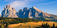 Panoramic photo of Alpe di Siusi