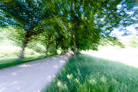 Fast wie ein Monet: ein impressionistischer fotografischer Moment von Beate.fotopassie