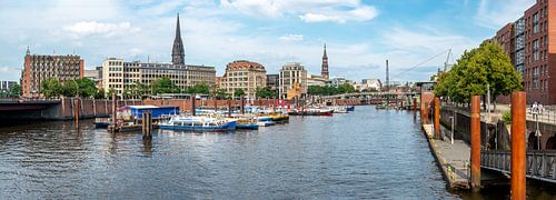 Panorama over de haven van Hamburg