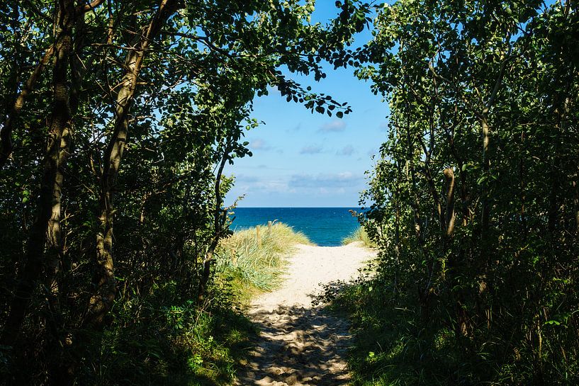 Strand an der Ostsee bei Graal Müritz von Rico Ködder