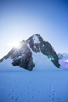 Fox Glacier: Das lebende Eis Neuseelands von Ken Tempelers