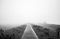 In the fog by Marieke Tromp thumbnail