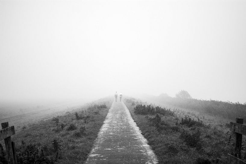 In the fog by Marieke Tromp