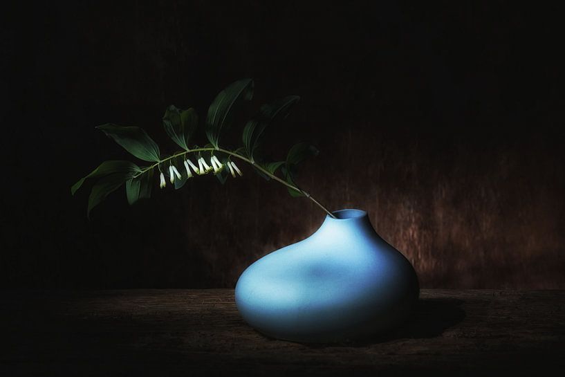 Stilleven met Salomonszegel van Saskia Dingemans Awarded Photographer