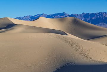 Enorme zandduinen in Death Valley, Californië van Peter Leenen
