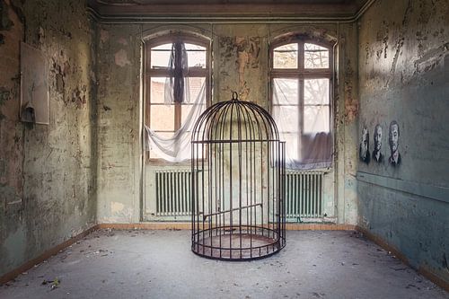 Cage à oiseaux abandonnée.