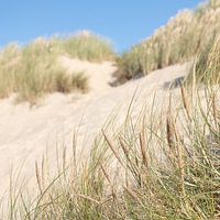 Sand and dunes