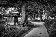Gerendal van Rob Boon thumbnail