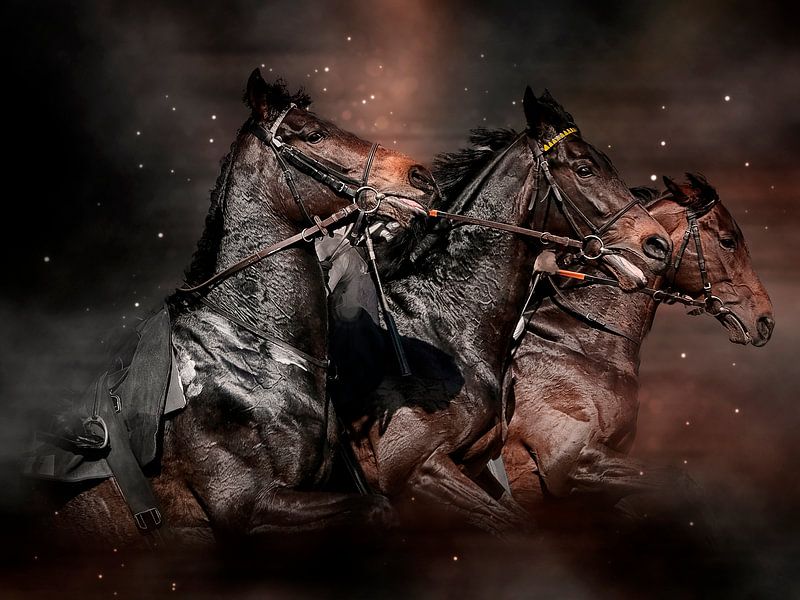 Mooie paarden van Peter Roder