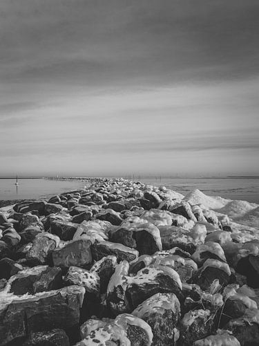 robuuste winters landschap van Tom Knotter