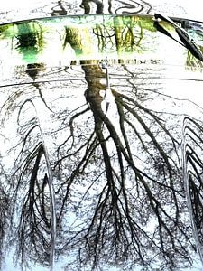 Urban Reflections 107