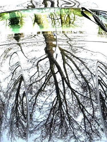 Urban Reflections 107