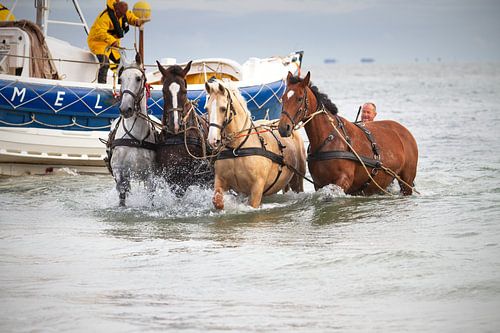 Pferderettungsboot Ameland von Rosalie Elema