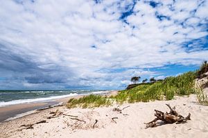 Der Weststrand auf dem Fischland-Darß