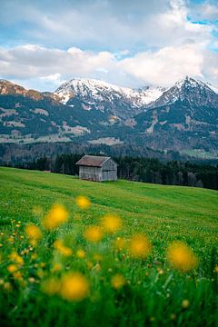 Schilderachtig uitzicht op de lente Allgäu en zijn bergen van Leo Schindzielorz