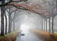Mist over de Compagnonsvaart