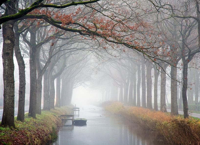 Fog over the Compagnonsvaart by Franke de Jong