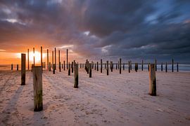 Palendorp Petten North Holland by Richard Gilissen